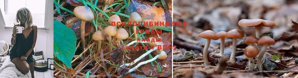 МДМА Вяземский