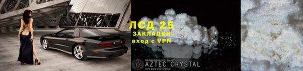 прущие грибы Гусь-Хрустальный