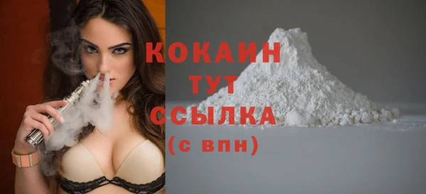 прущие грибы Гусь-Хрустальный