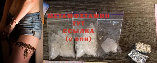 прущие грибы Гусь-Хрустальный