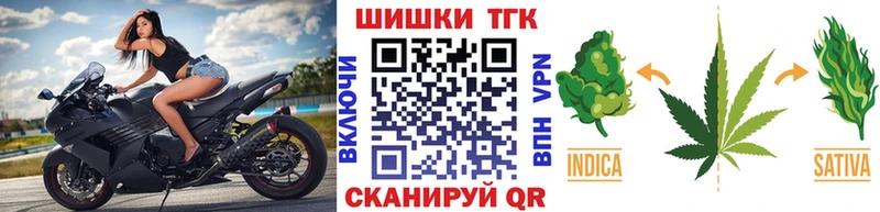 Конопля ГИДРОПОН Чернушка